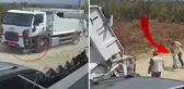 Ezerek telef olan köpekleri çöp kamyonuna atıp götürdüler