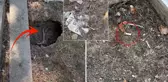 İstanbul'un göbeğindeki mezarlıkta isyan ettiren görüntüler