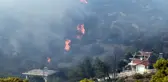 Komşuda orman yangınıyla mücadele! 1 kişi hayatını kaybetti, ekolojik felaket yaşanabilir