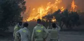 Dört bölgede orman yangınları kontrol altında! Çanakkale'de alevlerle mücadele sürüyor