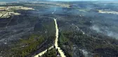 Edirne'deki yangının verdiği hasar dron kamerasında
