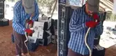 Yakaladığı yılana önce elleriyle su içirdi sonra okşayıp öptü