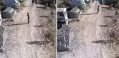 Amca ile yeğenin hayatını kaybettiği silahlı kavga kamerada