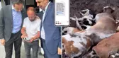CHP'li Özgür Erdem İncesu'dan bomba iddia: Yapılmayan şap aşısının parasını istiyorlar