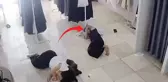 Kamera kayıttaydı: Mağazada dinlenen kadın hayatının şokunu yaşadı