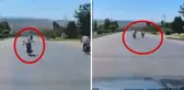 Canlarını hiçe saydılar, motosikletlerin üzerine yatarak yarıştılar