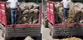 Çiftçi bir traktör patatesi köy meydanına döktü, bakanlık soruşturma başlattı