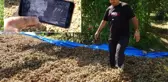 Fındığının çalındığını sandı, kameraları izleyince şoke oldu