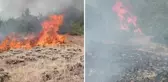 Gümüşhane'de çobanın yaktığı ateş yangına neden oldu