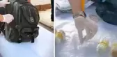 Burdur'da 60 milyon TL değerinde 201 tüp kobra yılanı zehri ele geçirildi