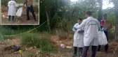 Düzce'de mısır tarlasında insan kafatası ve kemikleri bulundu