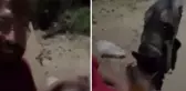 Köpeğine zorla alkol içirip kahkahalar attı