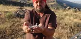 Doğada bedava toplanıyor! Kilosu altında yarışıyor: 10 bin lira