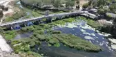 Edirne'de kuraklık alarmı! Tunca Nehri'ni otlar kapladı