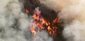 Karabük'te devam eden orman yangının çıkış nedeni belli oldu