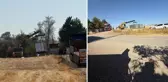 Kayyum atanan firmadan mal kaçırmaya çalıştılar