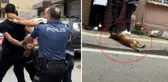 İhbara gelen ekiplerin üzerine pitbull köpeğini saldı
