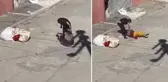 Cani koca, eşini sokak ortasında bayılıncaya kadar dövdü