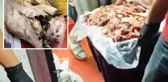 Başkentte mide bulandıran skandal! Hepsini halka yedireceklerdi