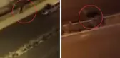 Aileler arasındaki kavgada pompalı tüfekle eve ateş açtı! O anların görüntüleri ortaya çıktı