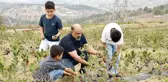 Rahatsızlığına şifa ararken hayatının işini buldu! Daha dalındayken kapış kapış gidiyor
