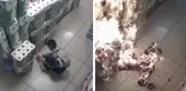 Markete gitti, tuvalet kağıdı reyonunu ateşe verdi! O anlar kameralarda