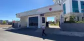 Diyarbakır'da Av Tüfeğiyle Öldürülen Kadın: Töre Kurt