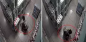 Görüntü Türkiye'den ve bunu yapan da 10 yaşındaki bir çocuk