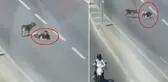 Ana yolun sağ şeridinde sürünerek ilerledi