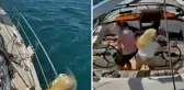 Katil balinalar lüks turist yatını batırdı! Mürettebat canını zor kurtardı