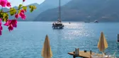Türkiye'nin ilk deniz ürünleri festivali
