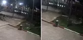 Antalya'ya gökten buz kütlesi düştü