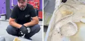 Oto yıkamacı aracın döşemesini söktü, görüntü mide bulandırdı
