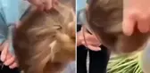 Küçük çocuğun saçının içinden sincap çıktı