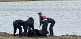 Meriç Nehri'nde erkek cesedi bulundu