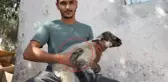 Yeni doğan kuzuyu gören üreticinin ağzı açık kaldı