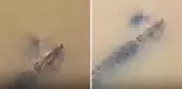 Timsah, nehirde yıkanan kadını suya çekerek ölürdü