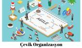 Çevik Organizasyon