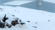 Sonbahar bitti, kış başladı! Kar 20 santimetreye ulaştı