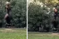 Two men caught engaging in a relationship in the bushes, one of whom was so young it made people say 