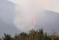 The forest fire in Denizli has been brought under control.