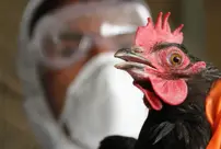 One of our provinces is on edge! Bird flu has been detected in an egg production facility.