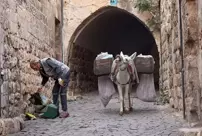 In Mardin, 'working donkeys' are retiring.