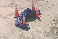 A severed human head was found on the beach.