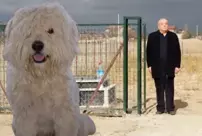 He bought a plot of land and had a grave made for his deceased dog.