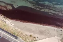 The shores of Tekirdağ turned red.