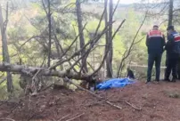 A man died after being trapped under a tree he had cut down in Manisa.