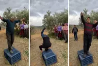 The fashion show performed by the olive grove workers accompanied by music will warm your heart.