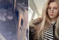 The 17-year-old girl was killed by being torn apart by pigs.