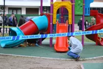 Rival families clashed in the park, and 2 children were shot.